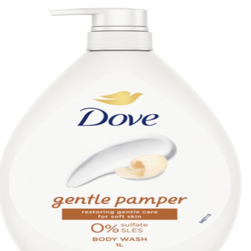 Everyday Household items